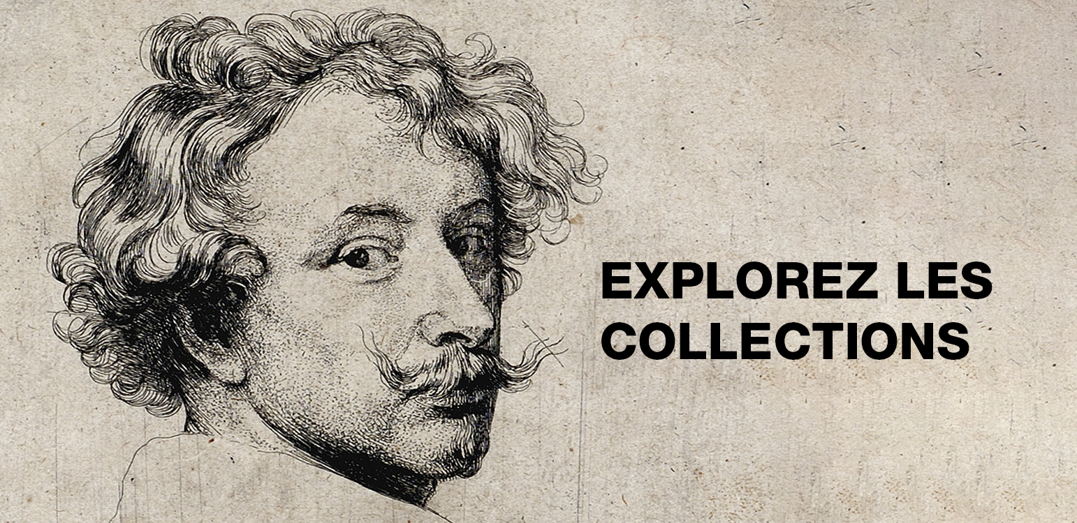 Explorez les collections