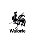 Logo Wallonie