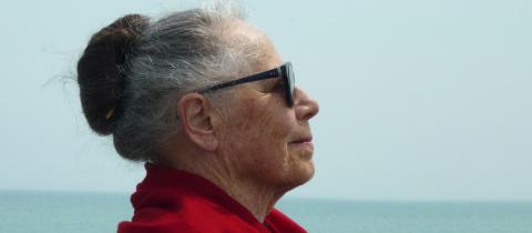 Vera Molnár