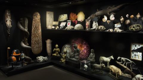cabinet curiosite