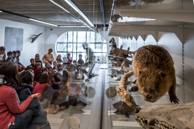 Visite en famille sur le thème des animaux et de la nature