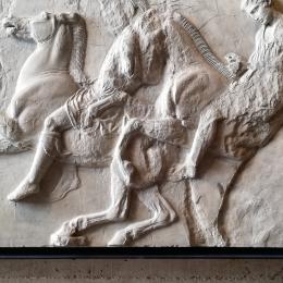 Atelier de moulages d’Athènes (?), frise ouest du Parthénon : cavaliers à cheval, 19e s (?). Plâtre. 140 x 101,7 cm. N° inv. MA244. Fonds ancien de l’Université. D’après un original de Phidias, 5e s. av. J.-C., conservé au Musée de l’Acropole à Athènes.