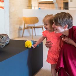 Petit cabinet d'histoire naturelle
