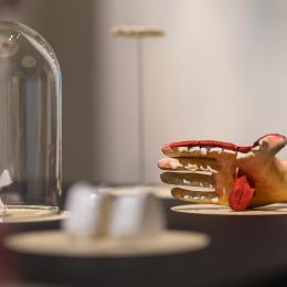 Expo Fossiles & fictions (c)A. Delsoir-F.Falier