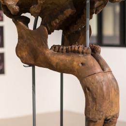 Expo Fossiles & fictions (c)A. Delsoir-F.Falier