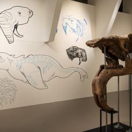 Expo Fossiles & fictions (c)A. Delsoir-F.Falier