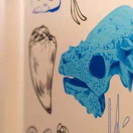 Expo Fossiles & fictions (c)A. Delsoir-F.Falier