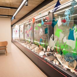 Expo Fossiles & fictions (c)A. Delsoir-F.Falier