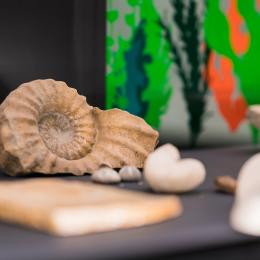 Expo Fossiles & fictions (c)A. Delsoir-F.Falier